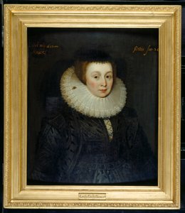 Lady Emily Howard by Marcus Gheeraerts