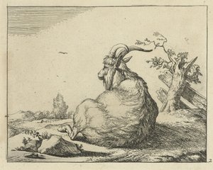 Goat Sitting by a Fallen Tree by Marcus de Bye
