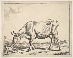Cow, after Paulus Potter by Marcus de Bye