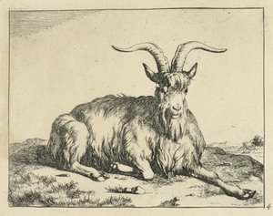 Lying Goat with Outstretched Foreleg by Marcus de Bye