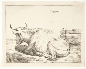 Lying Cow by Marcus de Bye