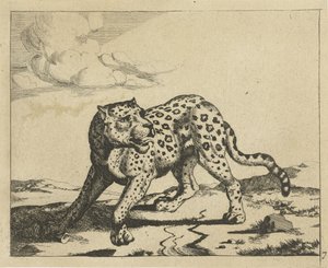 Leopard Standing to the Left, Head to the Right (Leopards) by Marcus de Bye
