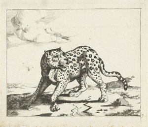 Leopard, Standing to the Left, Head to the Right (Leopards) by Marcus de Bye