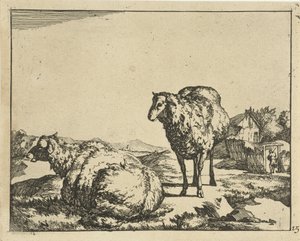 Standing and Lying Sheep with Farm in Background by Marcus de Bye