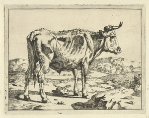 Bull Standing by Rock Cattle and Pigs (series title)