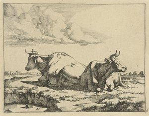 Two Lying Cows (Cows and Sheep series) by Marcus de Bye