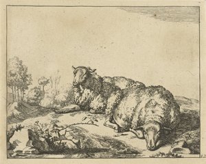 Two Sheep Lying by a Bramble by Marcus de Bye