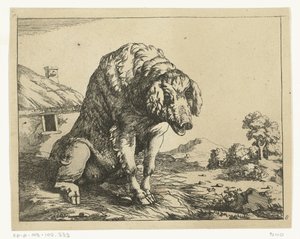 Pig Sitting on Hind Legs, Predators and Swine (series title) by Marcus de Bye