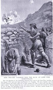How Private Vaughan Won the DCM at Lone Pine Dardanelles August 1915 by Margaret Dovaston