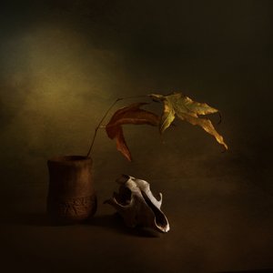 Dark Autumn Still Life by Margaret Halaby