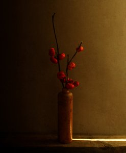 Red Berries Still Life