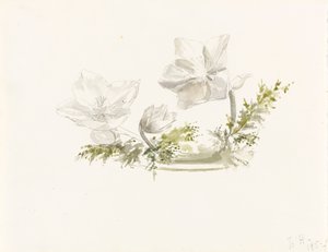 Study of a Flower Arrangement by Margaret Louisa Herschel