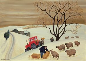 Taking Hay to the Sheep by Tractor