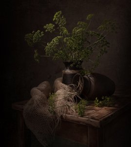 Dark Botanical Still Life by Margareth Perfoncio