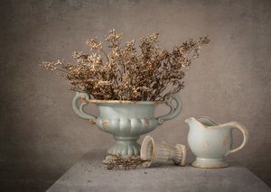 Dried Flowers Still Life