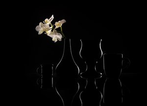 Elegant Orchid Silhouettes