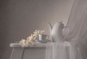 Elegant Orchid Teatime by Margareth Perfoncio