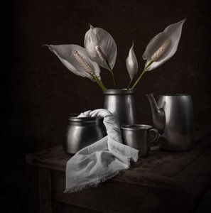 Elegant Peace Lilies by Margareth Perfoncio