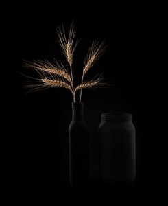 Golden Wheat Still Life by Margareth Perfoncio