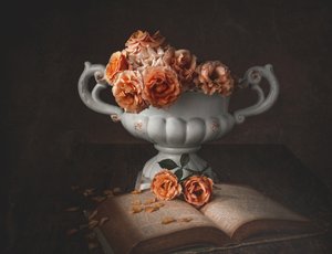Moody Roses and Old Book