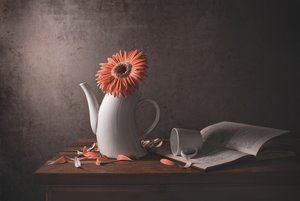 Orange Daisy and Broken Teapot