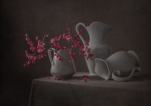 Pink Blooms And White Pitchers by Margareth Perfoncio