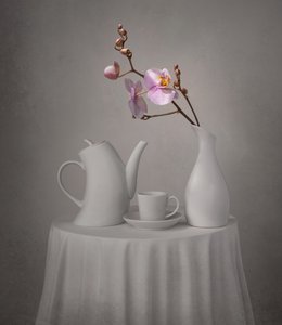 Pink Orchid Tea Time by Margareth Perfoncio