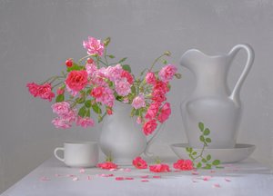 Pink Rose Still Life