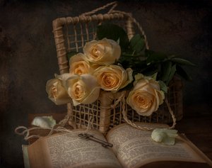 Romantic Roses and Old Book by Margareth Perfoncio
