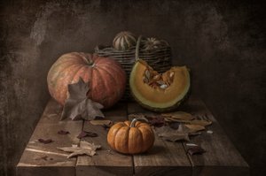 Rustic Autumn Pumpkins