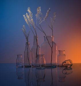 Serene Glass Still Life