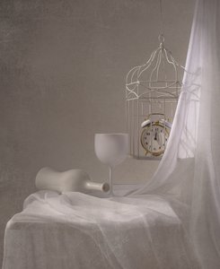 Timeless White Still Life