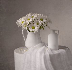 White Daisies Still Life by Margareth Perfoncio