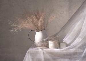 White Pitcher Dried Grass by Margareth Perfoncio