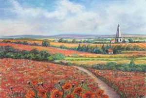 Cotswold poppy field, 2022 by Margo Starkey