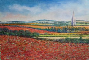 Poppy Fields