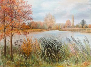 River Thames near Windsor by Margo Starkey