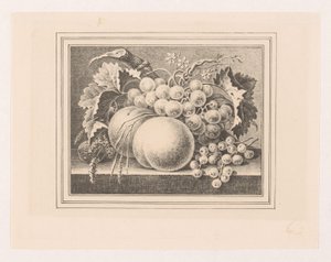 Composition with Fruits in a Frame