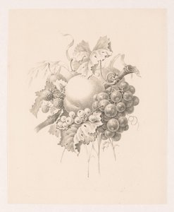 Composition of Fruits by Maria Geertruida de Goeje Barbiers (attributed to)