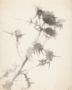 Thistles