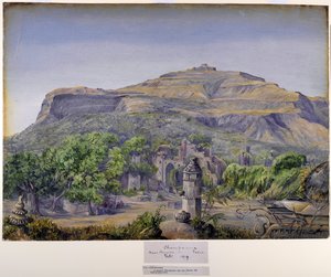 Champaneer, near Baroda, India by Marianne North