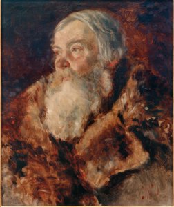 Man in Fur