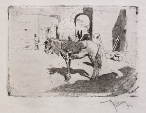 Moroccan Horse