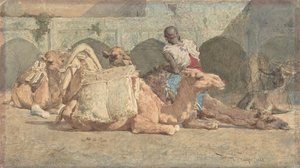 Camels Reposing, Tangiers