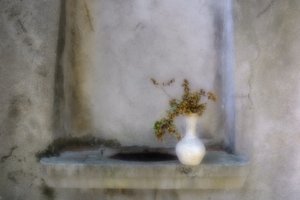 Dried Botanicals Alcove