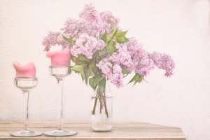 Lilac and Pink Candles by Marie-anne Stas