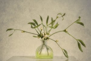 Mistletoe Berries In Vase