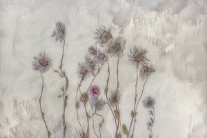 Soft Pastel Flowers
