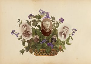 The Madame B Album