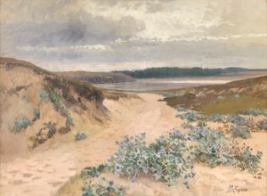 Dune Landscape in Brittany
